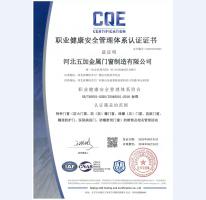 職業(yè)健康安全管理體系認(rèn)證證書2025年-2028年中文版